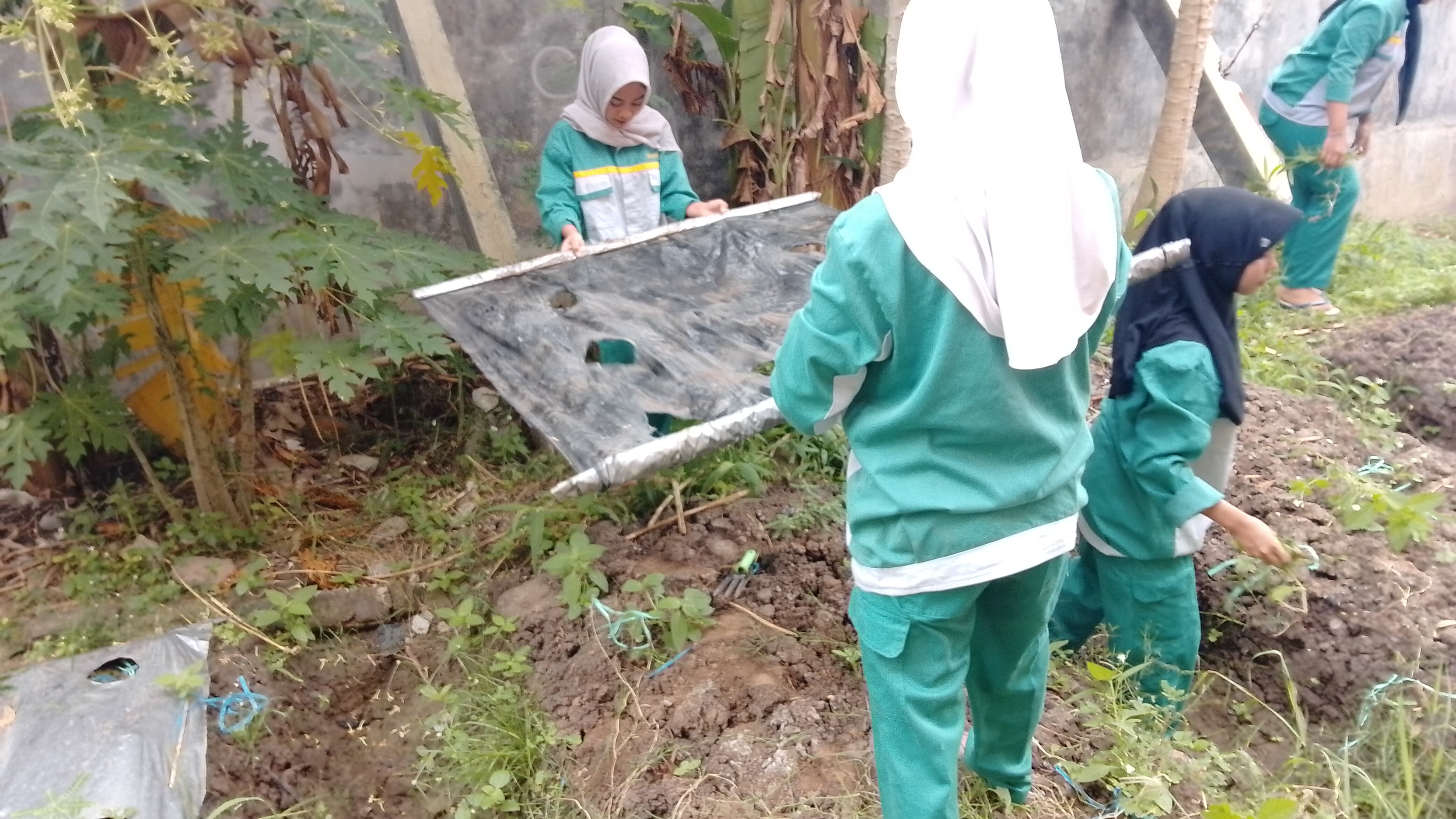 Kegiatan 3